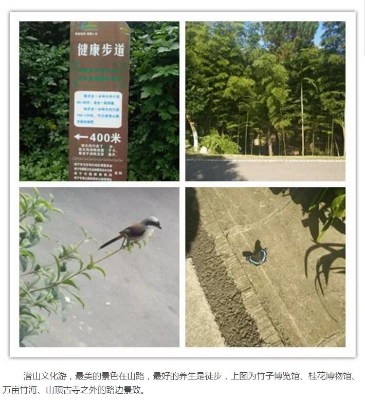 ��������רעΪ����·���ϵ�����ƽ̨