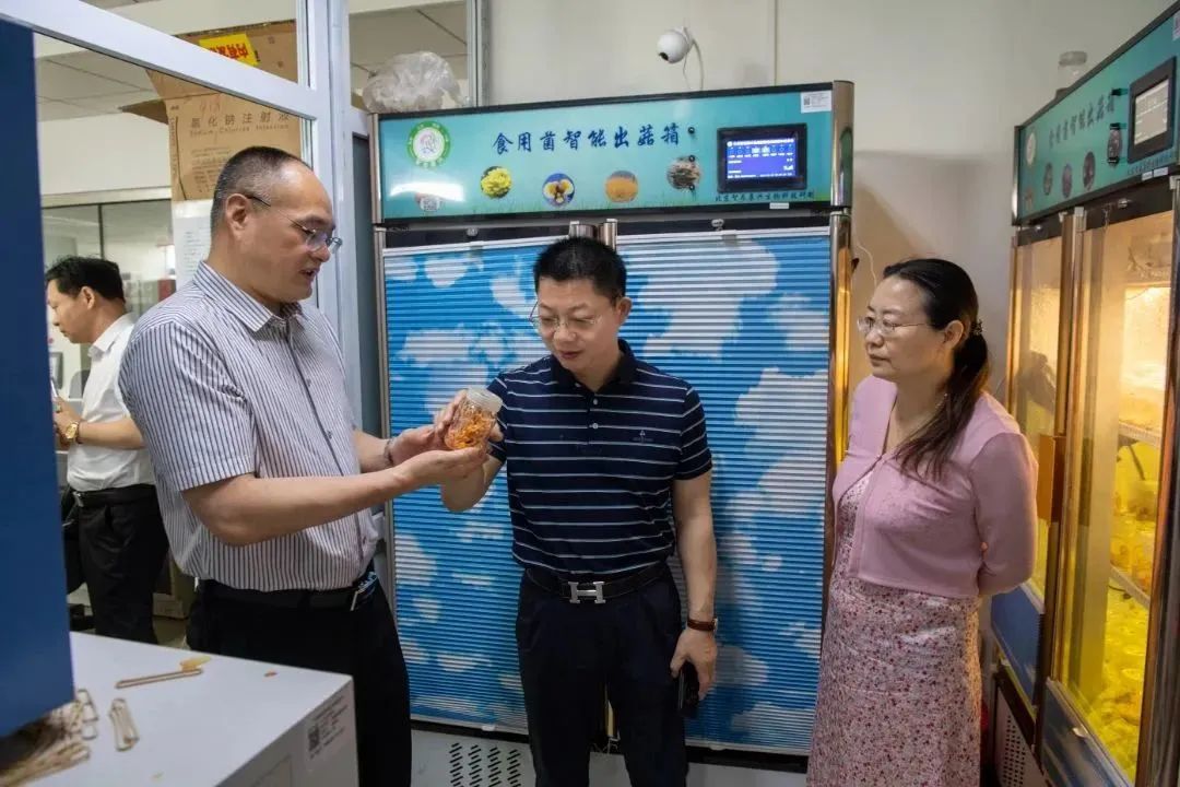 ��������רעΪ����·���ϵ�����ƽ̨